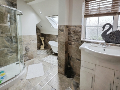 Picture 14